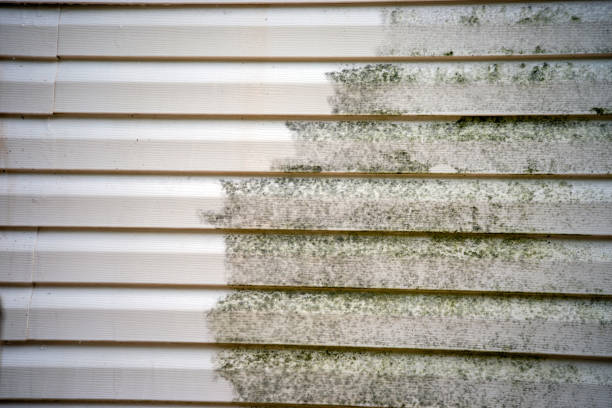 Best Construction Debris Removal  in Ridgecrest, CA